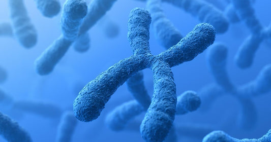 The Maternal Legacy: How Women Pass Down Mitochondrial DNA