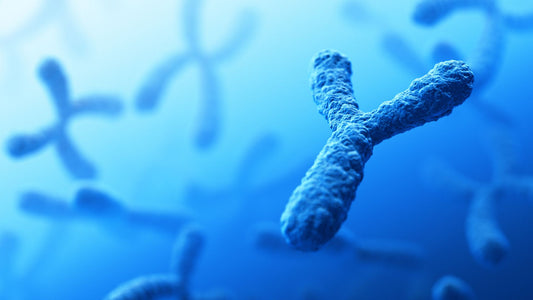 The Legacy of the Y Chromosome: How Men Pass Down Haplogroups to Their Sons