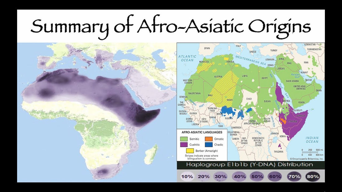 The Proto-Afro-Asiatic Language: The Dawn of a Linguistic Legacy